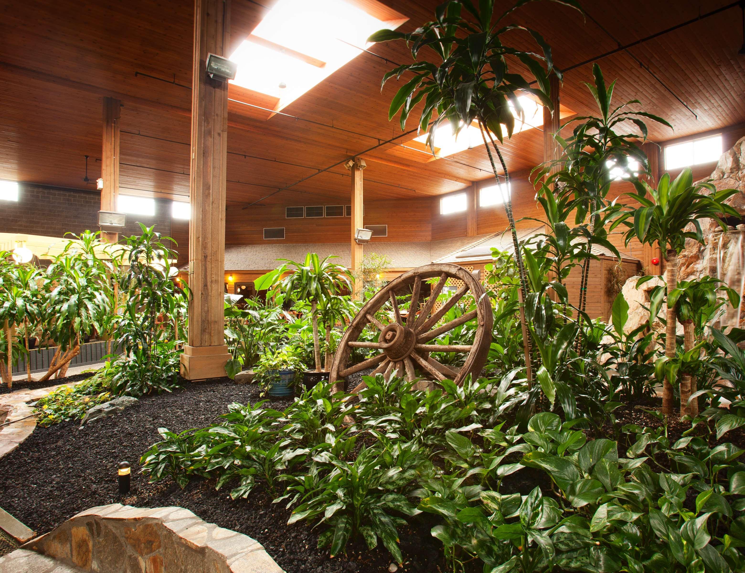 Best Western Premier Ashton Suites - Willowbrook Houston Exteriér fotografie